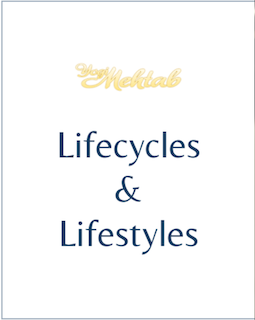LIFECYCLES & LIFESTYLES – In Person Kundalini Yoga Level 2 Course (Open to Public)