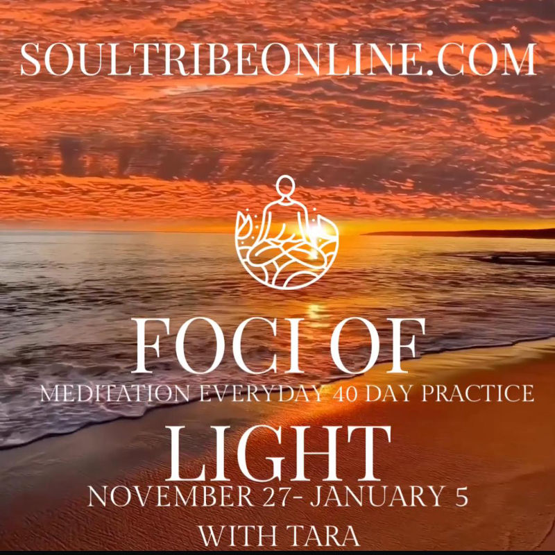 WhatsApp Image 2025-…_imresizer