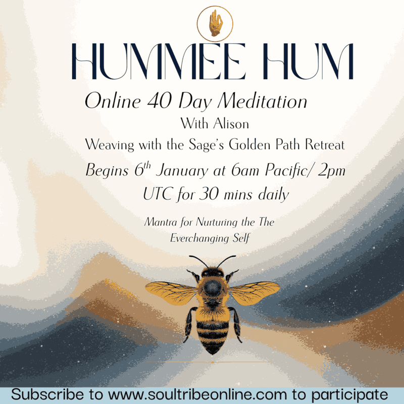 Hummee Humm_11zon (1)_11zon