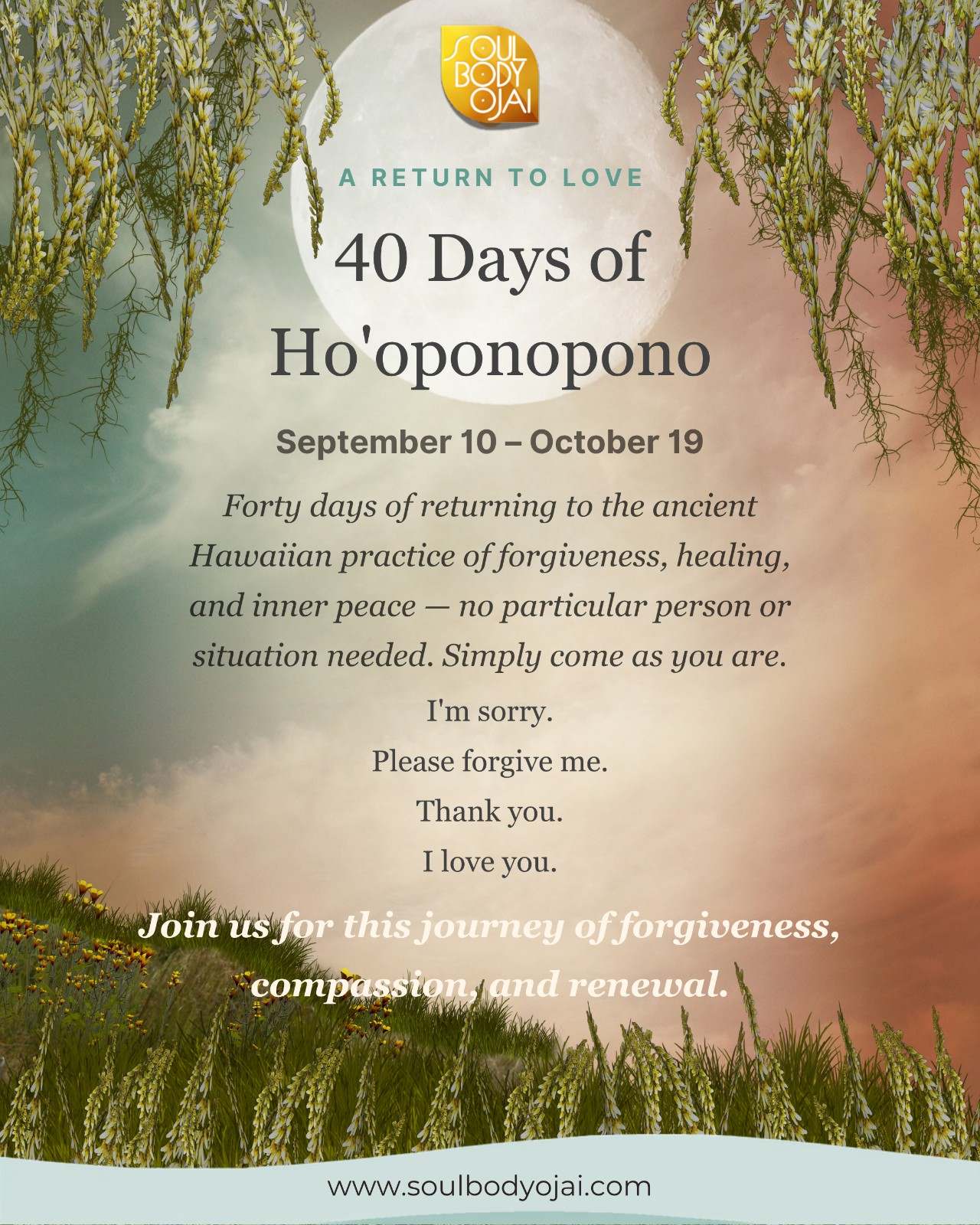 40 Days of Ho'oponopono